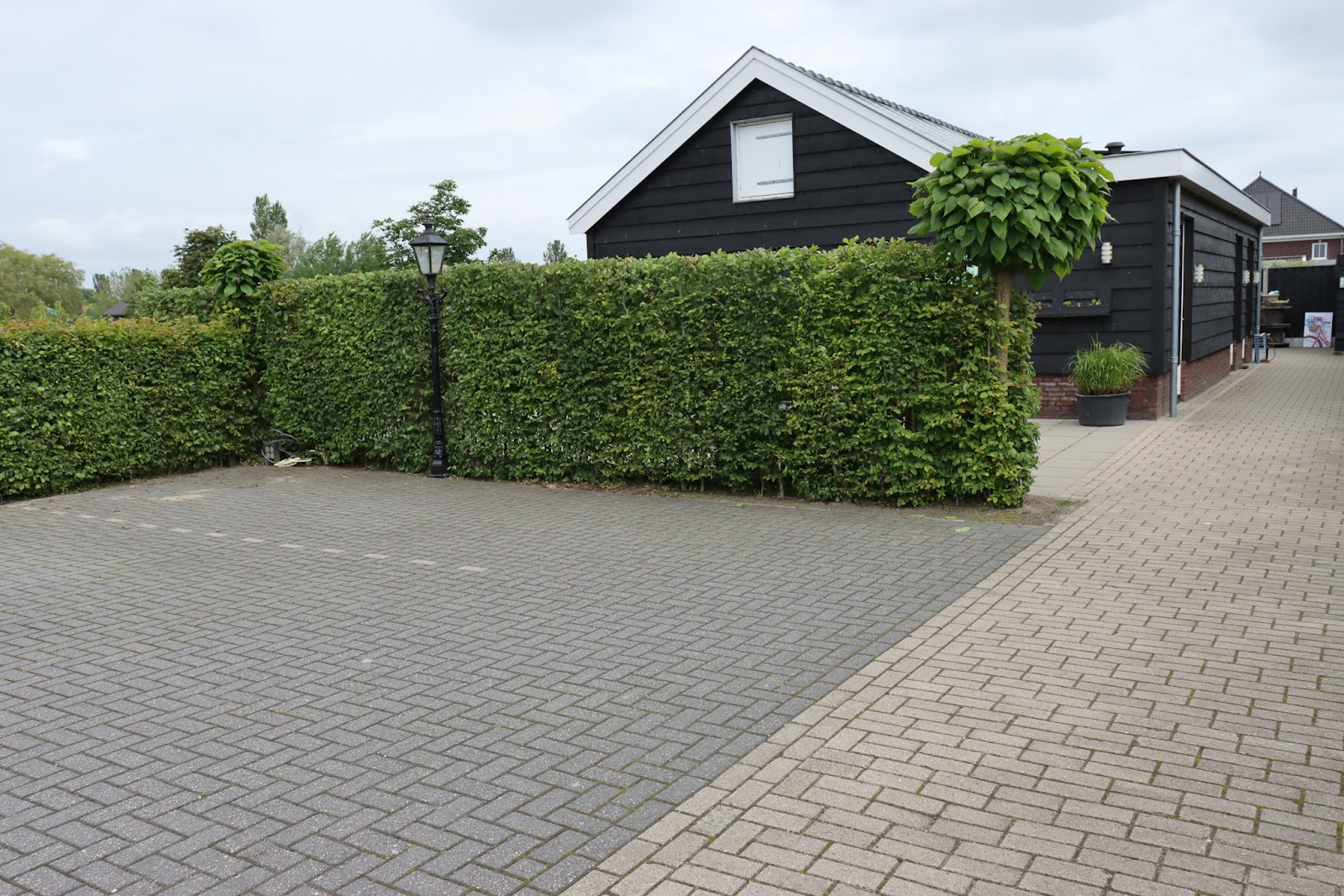 Foto van B&B Buutegeweun, bed and breakfast