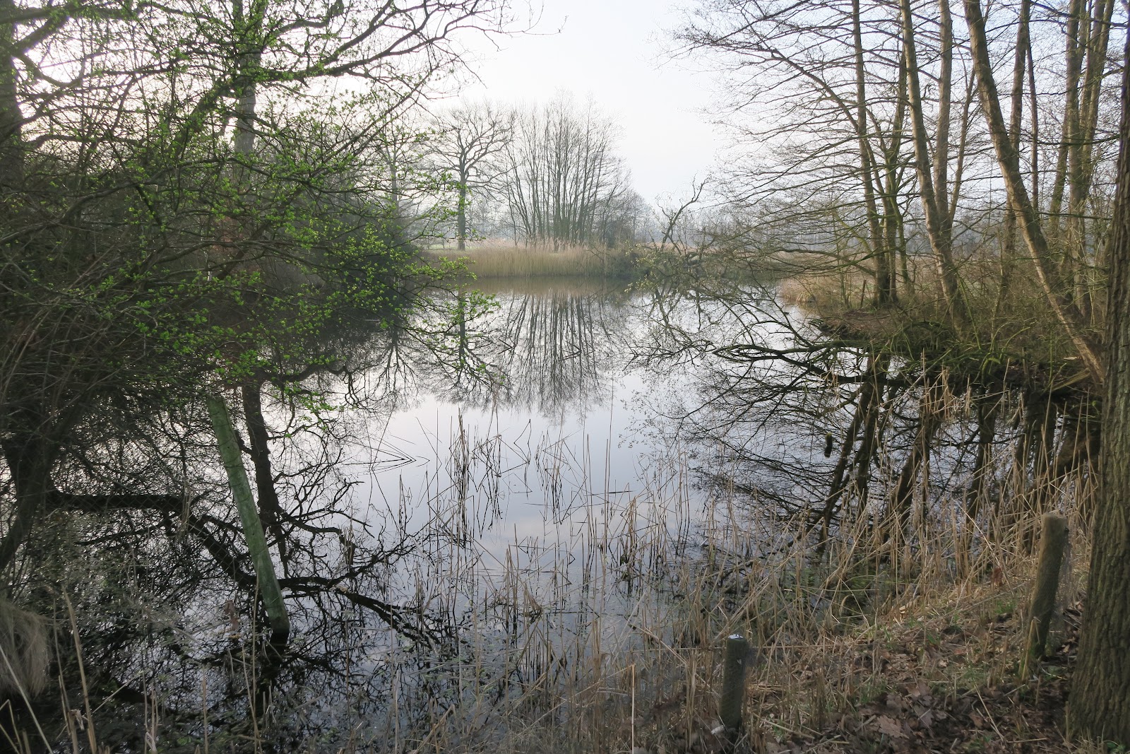 Foto van Stoutenburg Noord