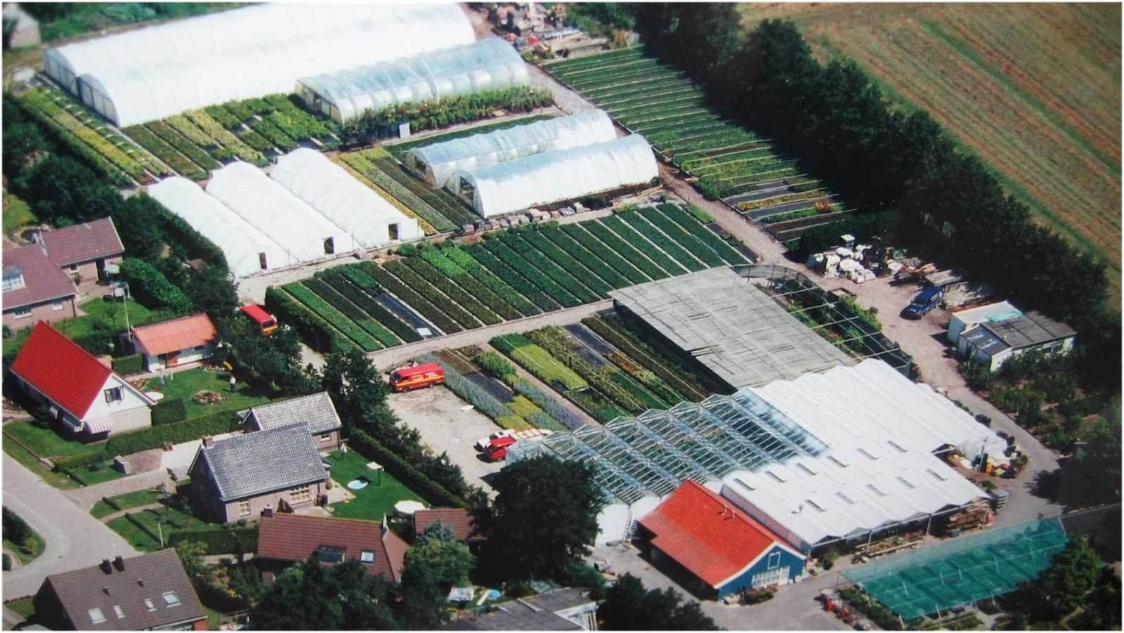 Foto van Tuincentrum en kwekerij de Triemen