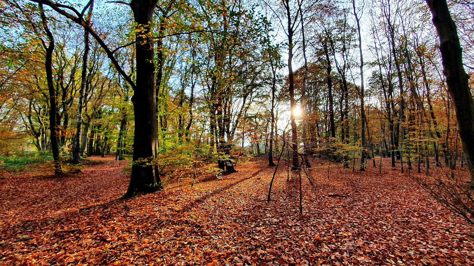 Foto van Recreatiepark Uddelermeer