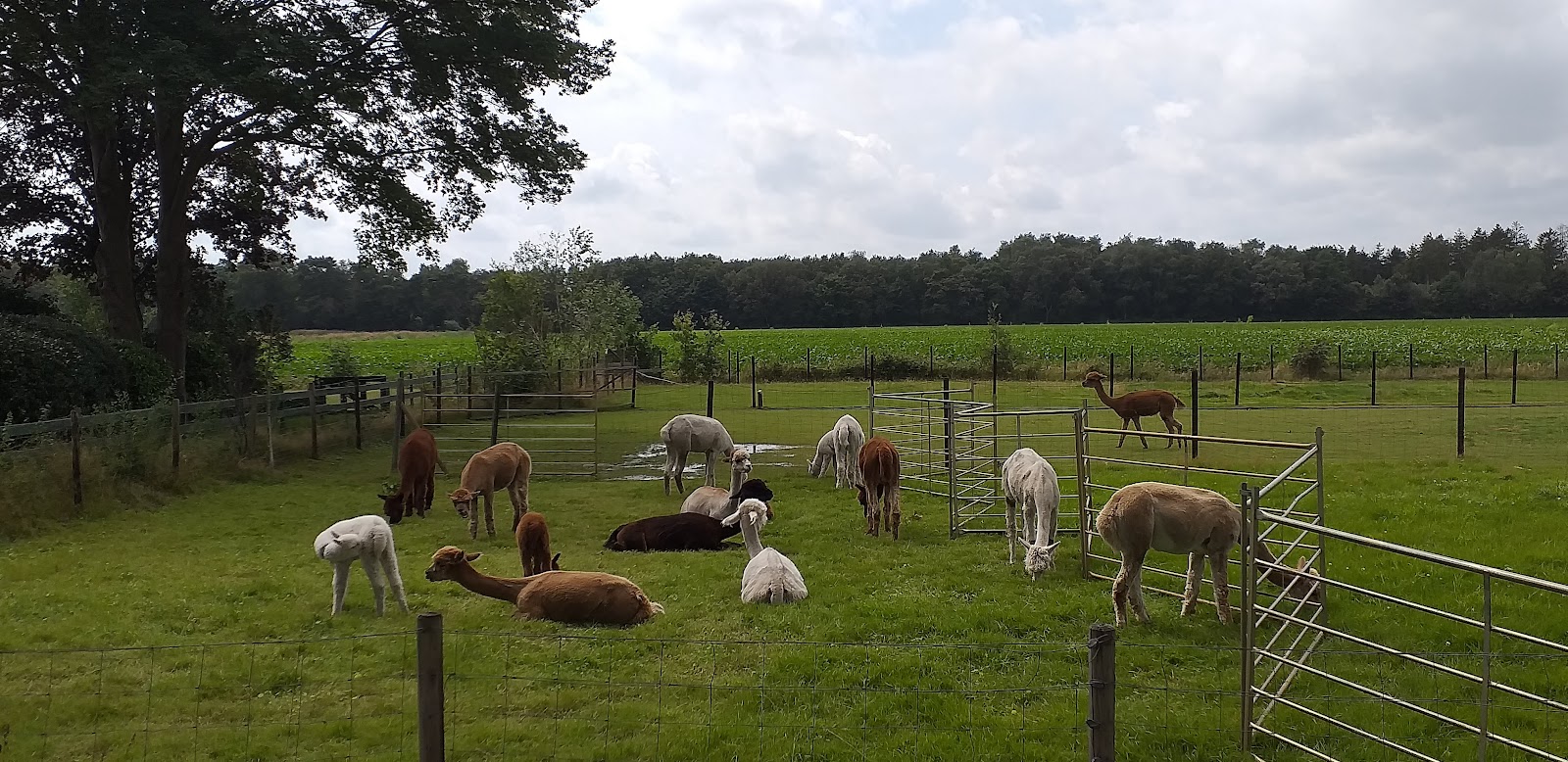 Foto van Vinkega