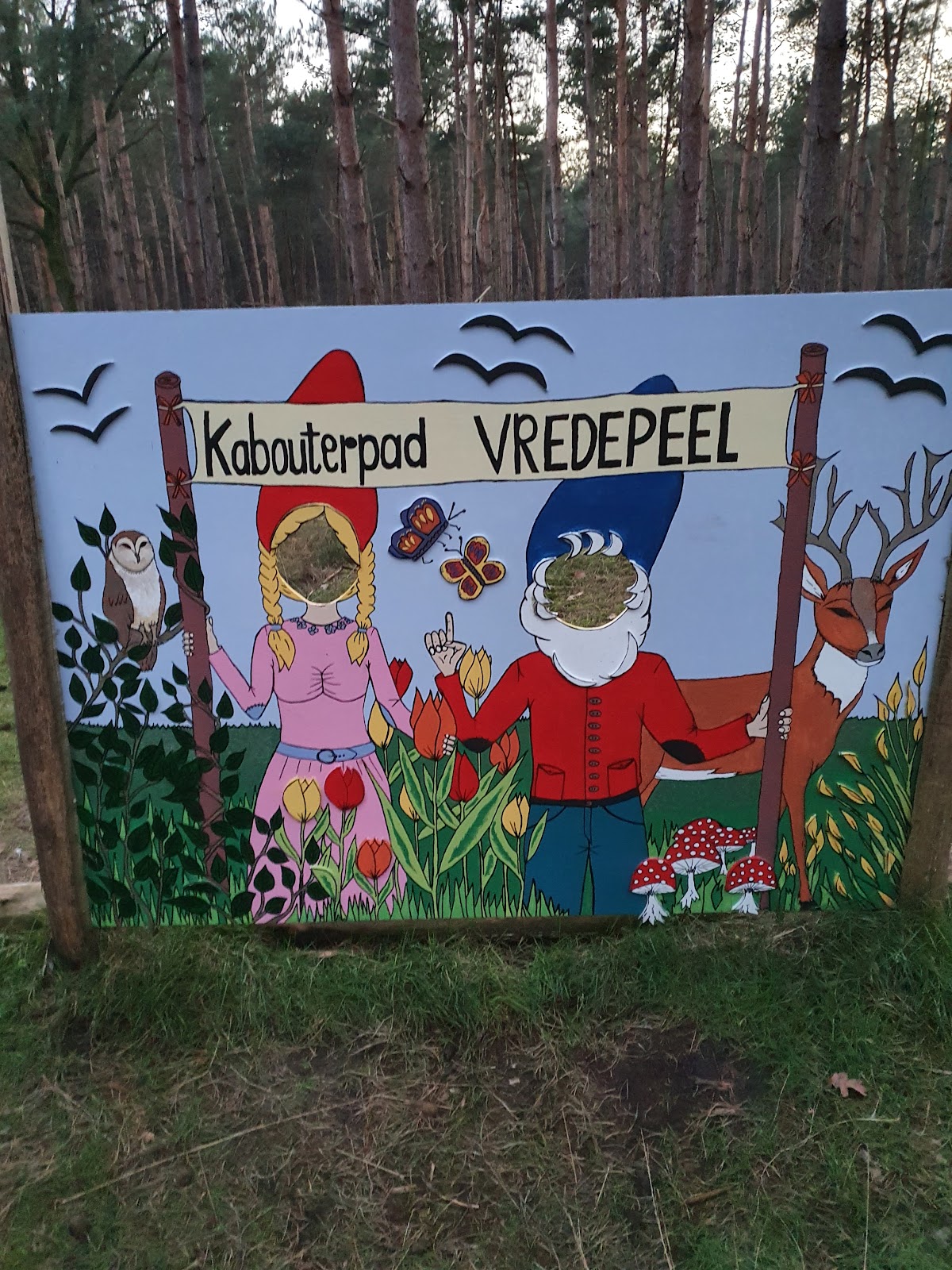 Foto van Vredepeel