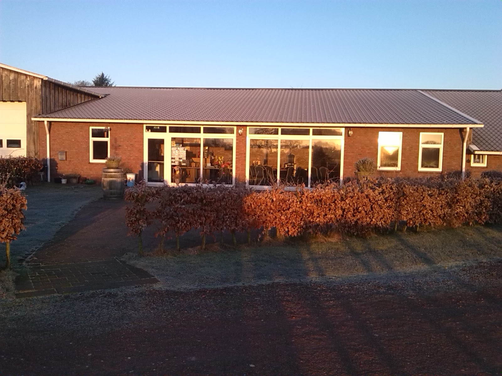 Foto van Camperplaats wijngaard Baan