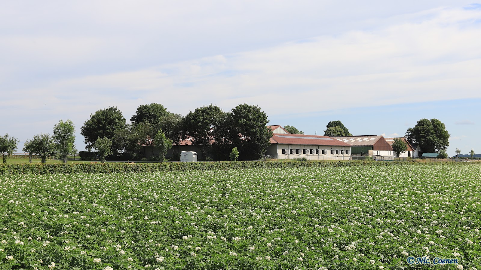 Foto van Wijnandsrade