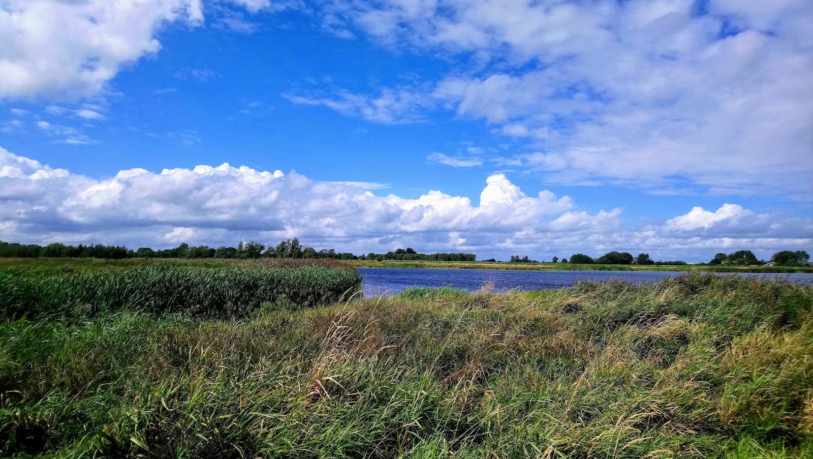 Foto van Ae's Woudbloem