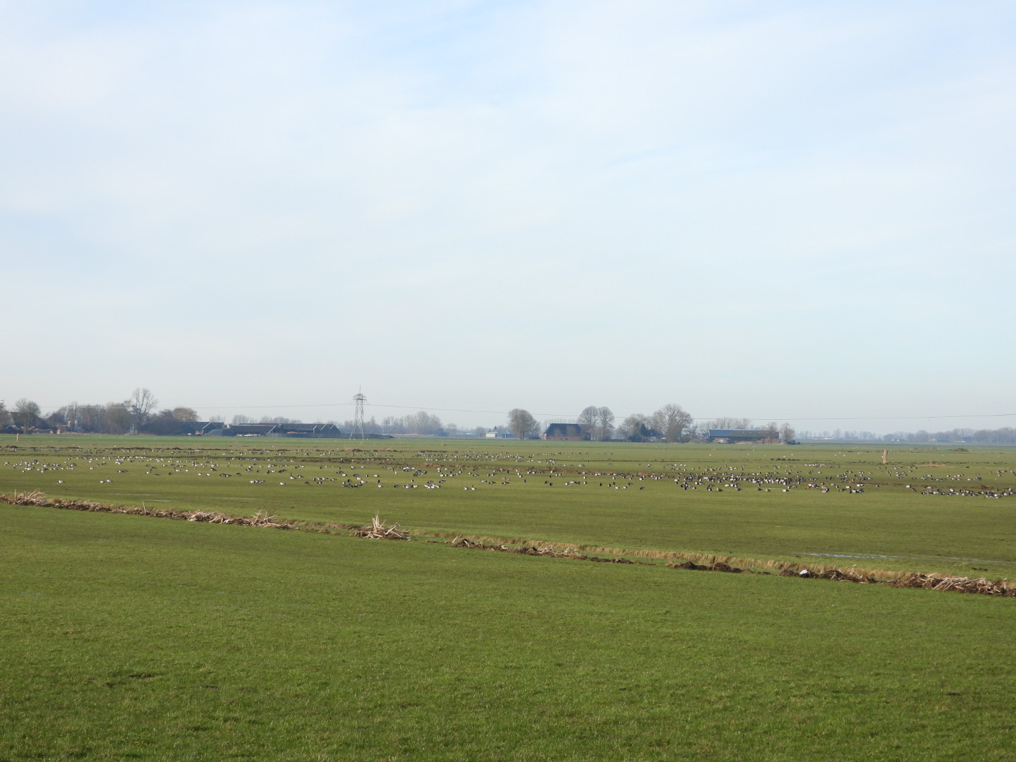 Foto van Wandelroute Aa's Woudbloem Scald Ae (t' Roegwold)