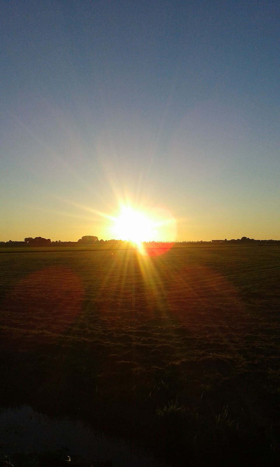 Foto van Voetverzorging In Evenwicht