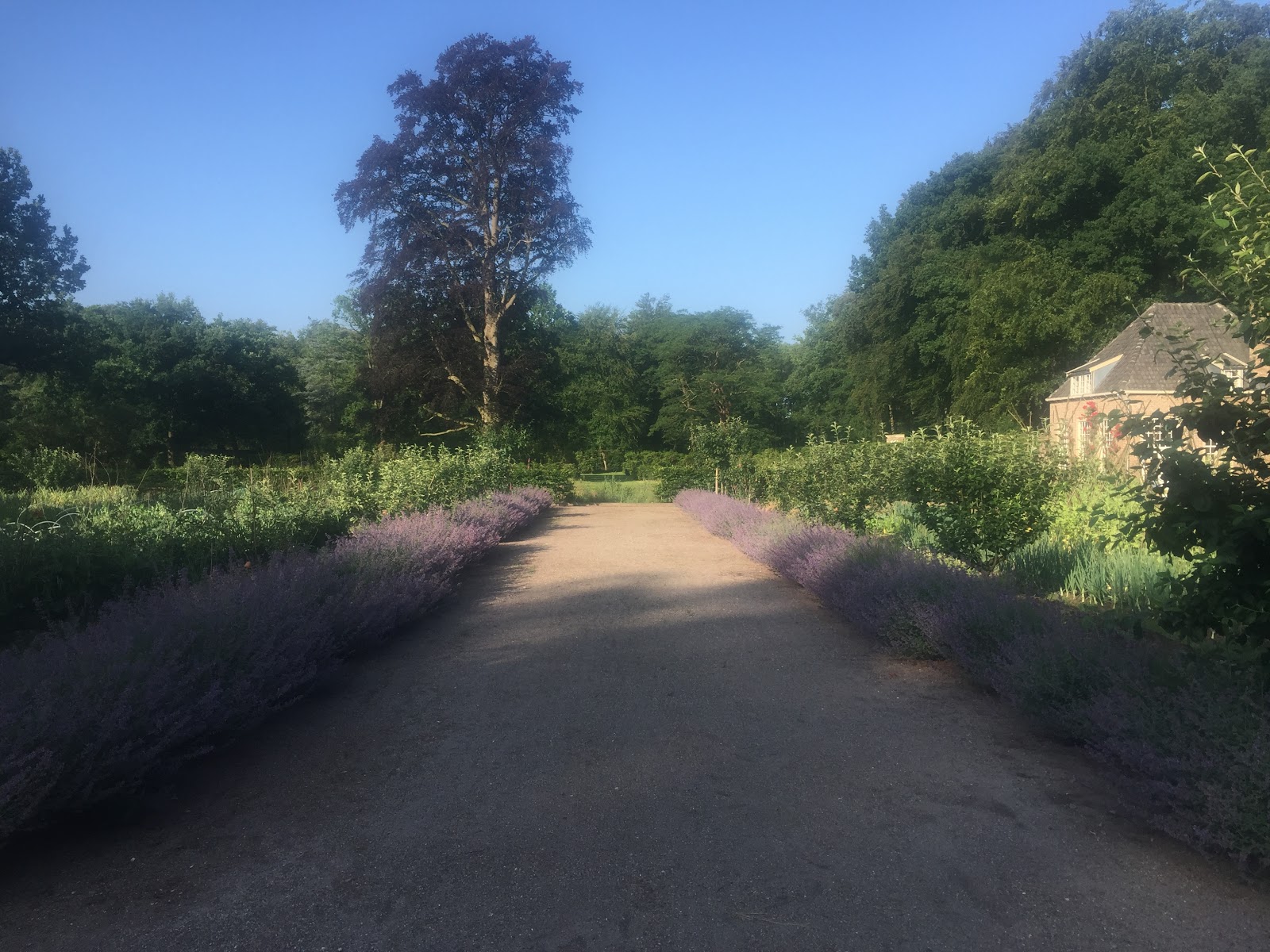 Foto van Moestuin Zuylestein 17e eeuwse moes- en pluktuin met landgoed winkel