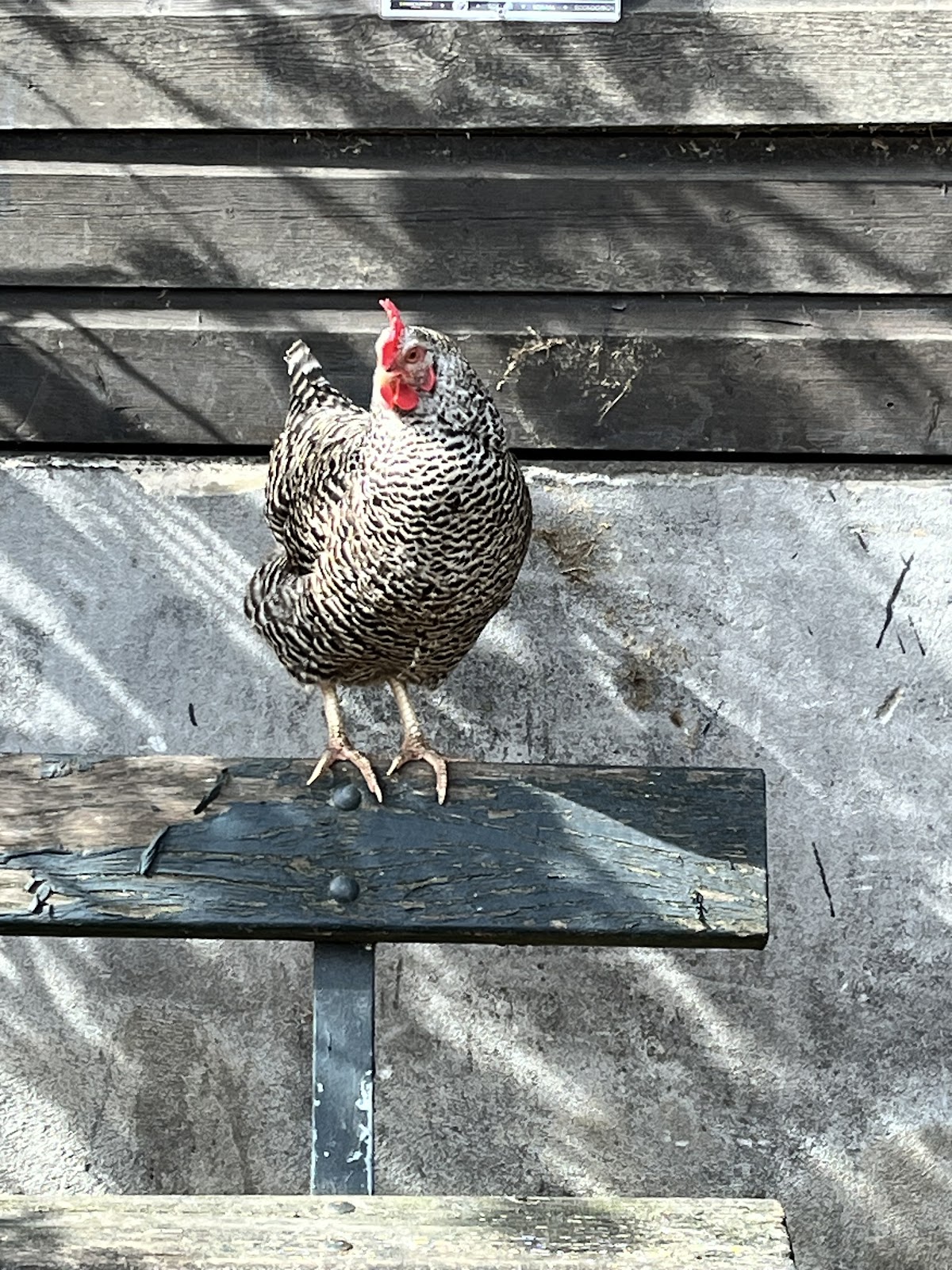 Foto van Lindenhoff boerderij