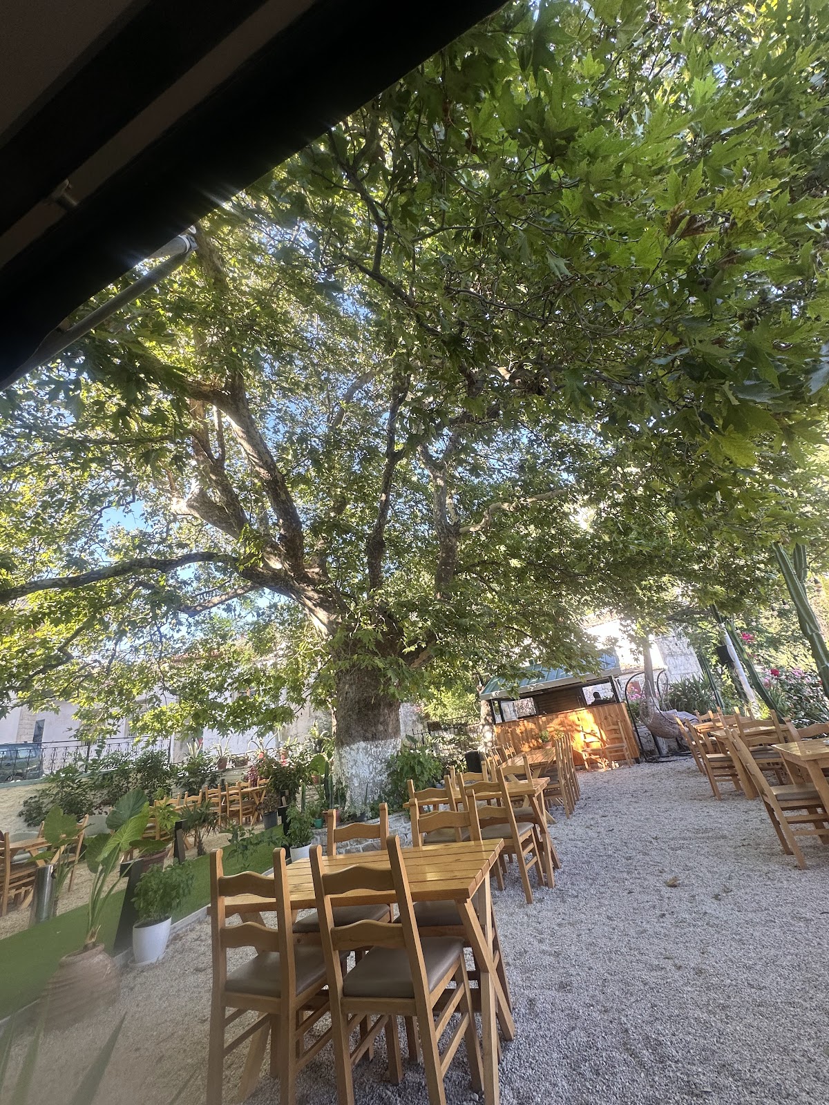 Foto van Te Rrapi në Qeparo (village)