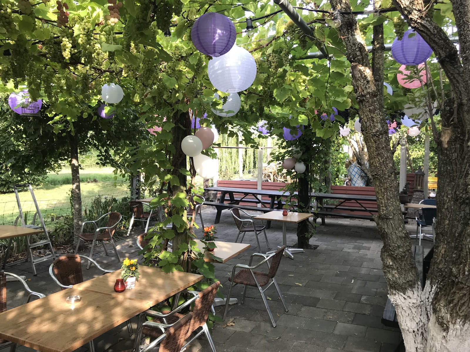 Foto van Terras Klein en Dorst