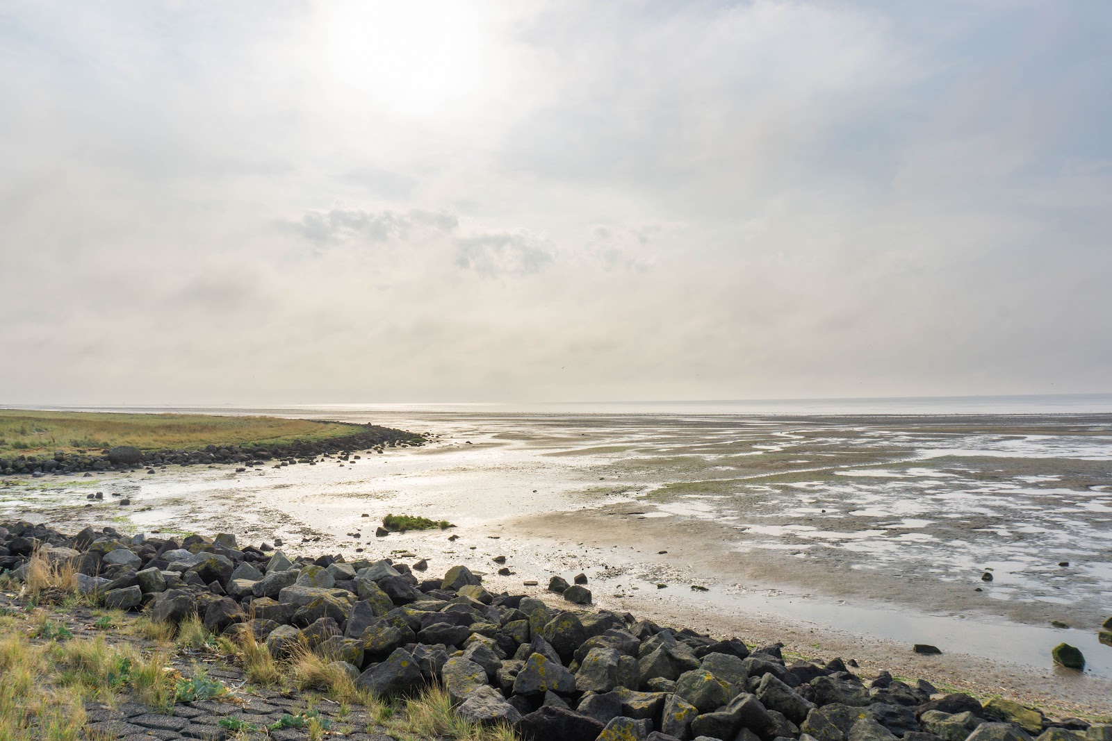 Foto van Paviljoen De Walvis