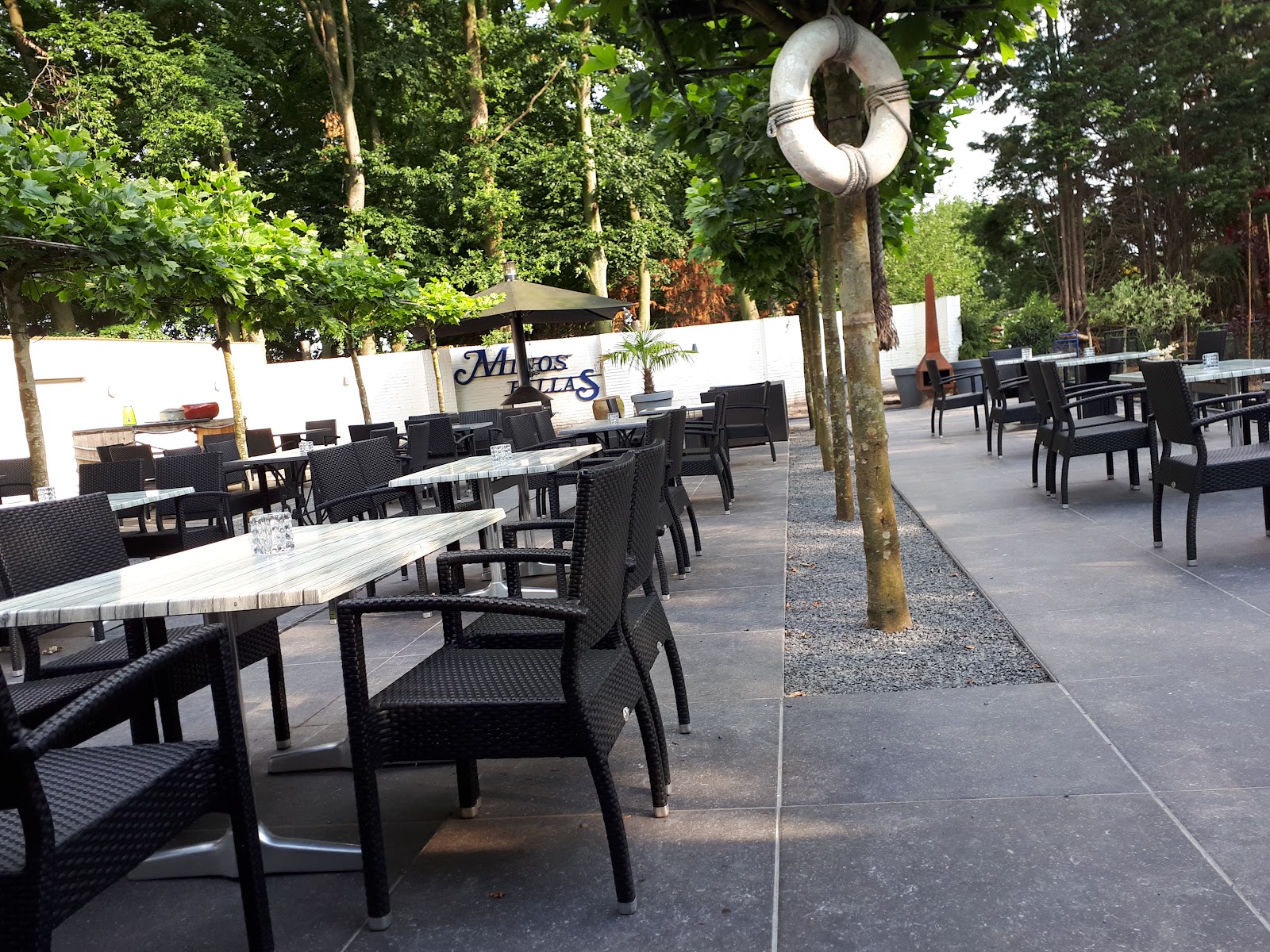Foto van Minos Pallas