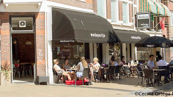 Foto van Wadapartja Zuiderdiep