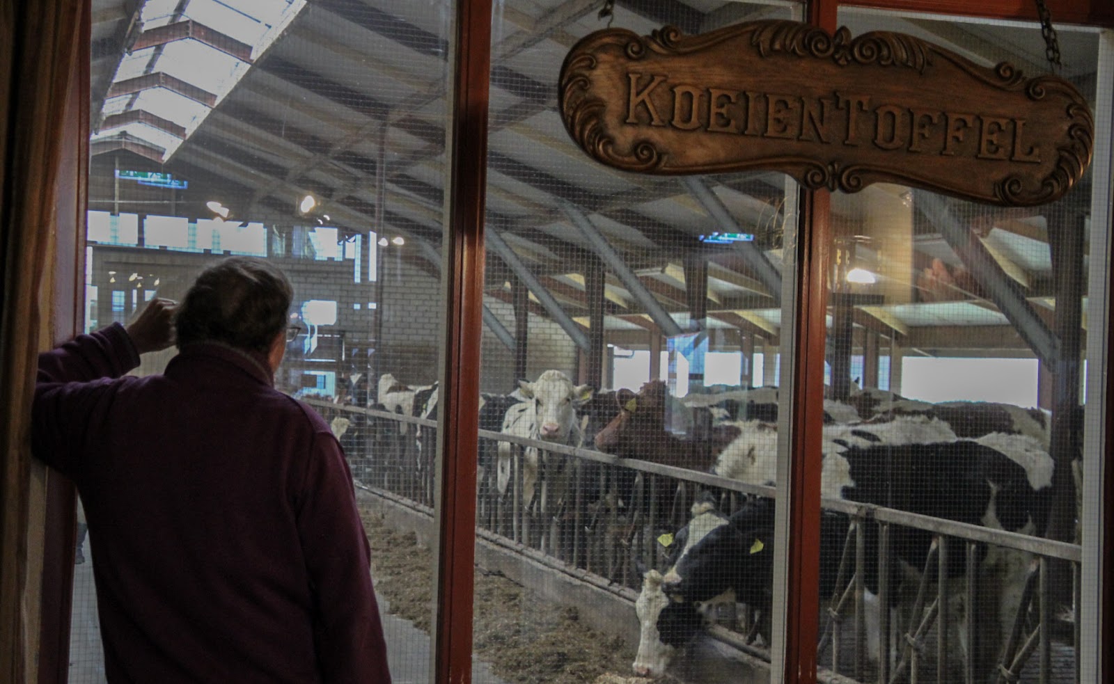 Foto van Boerderijterras Jacobushof
