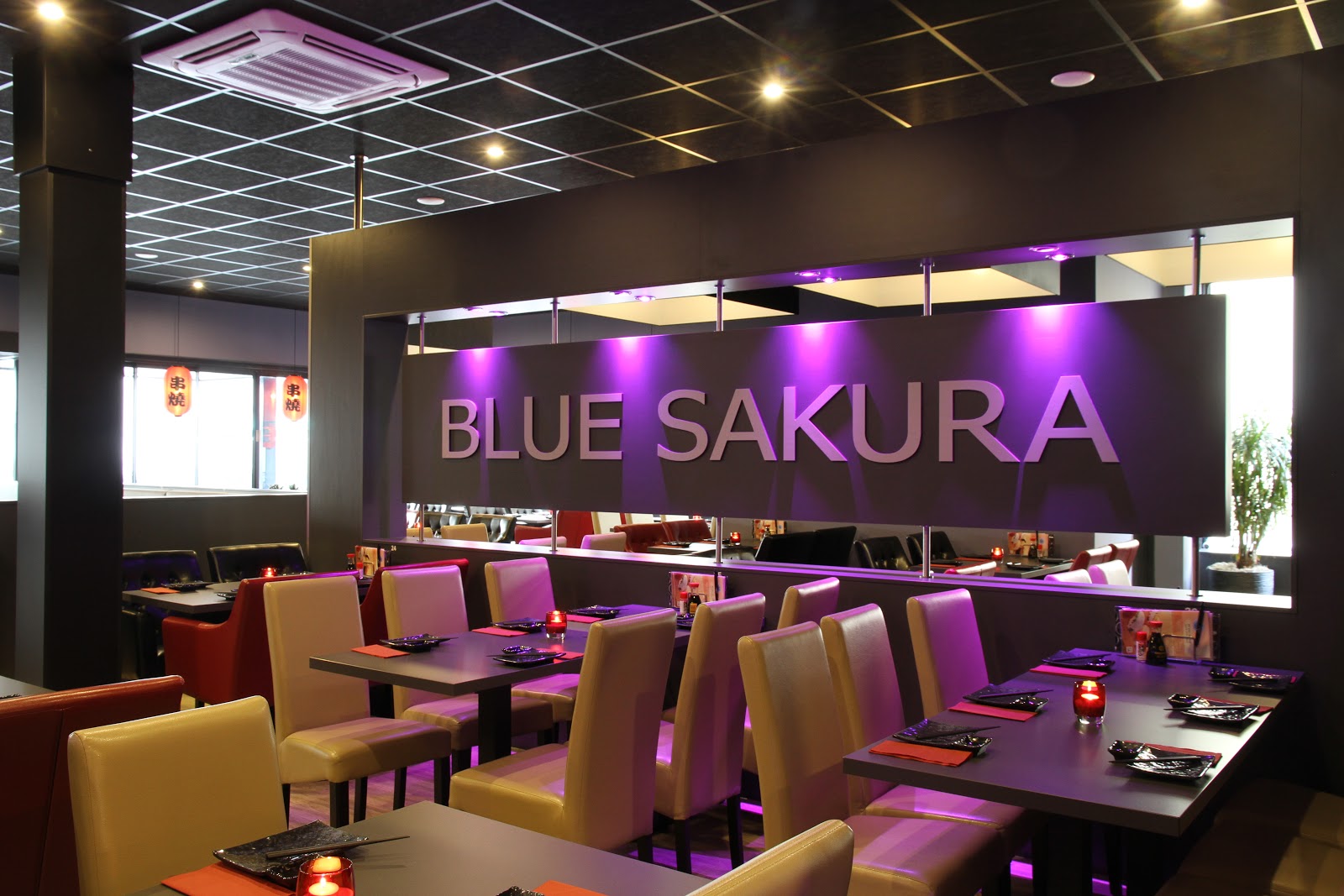 Foto van Blue Sakura
