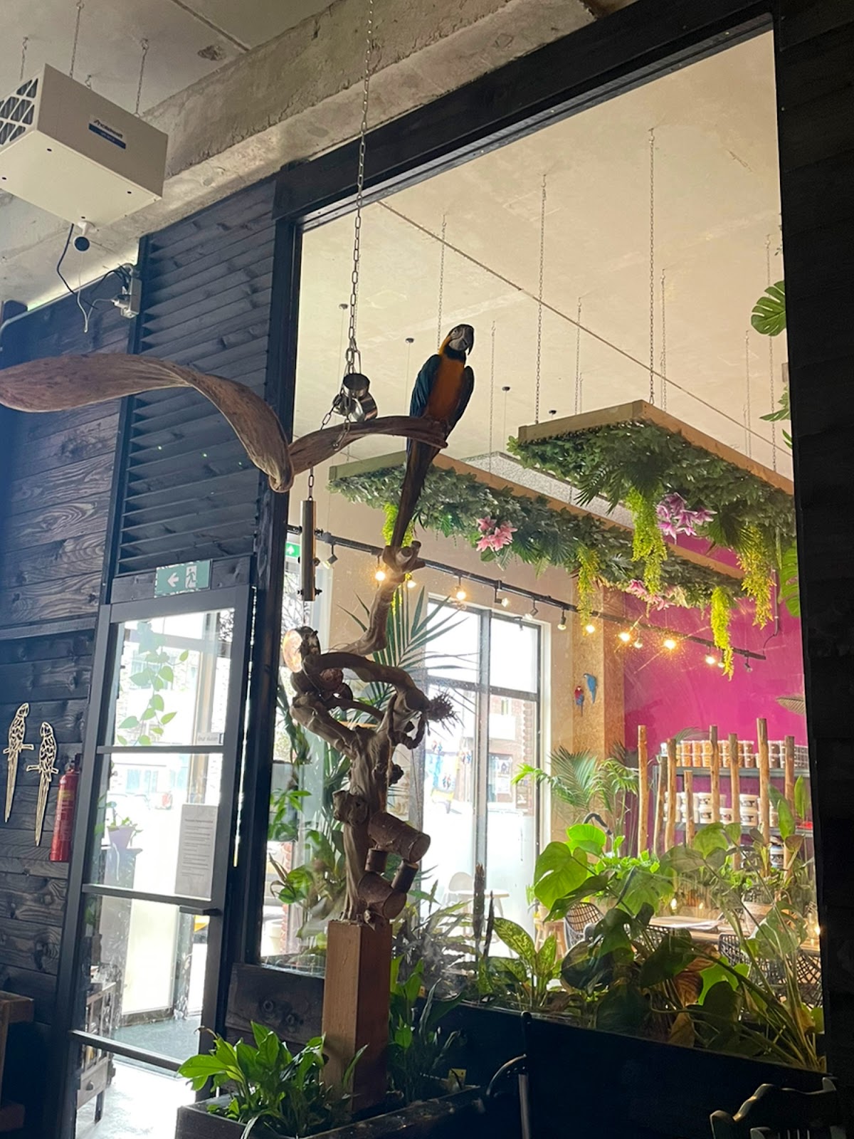 Foto van The Parrot Lounge