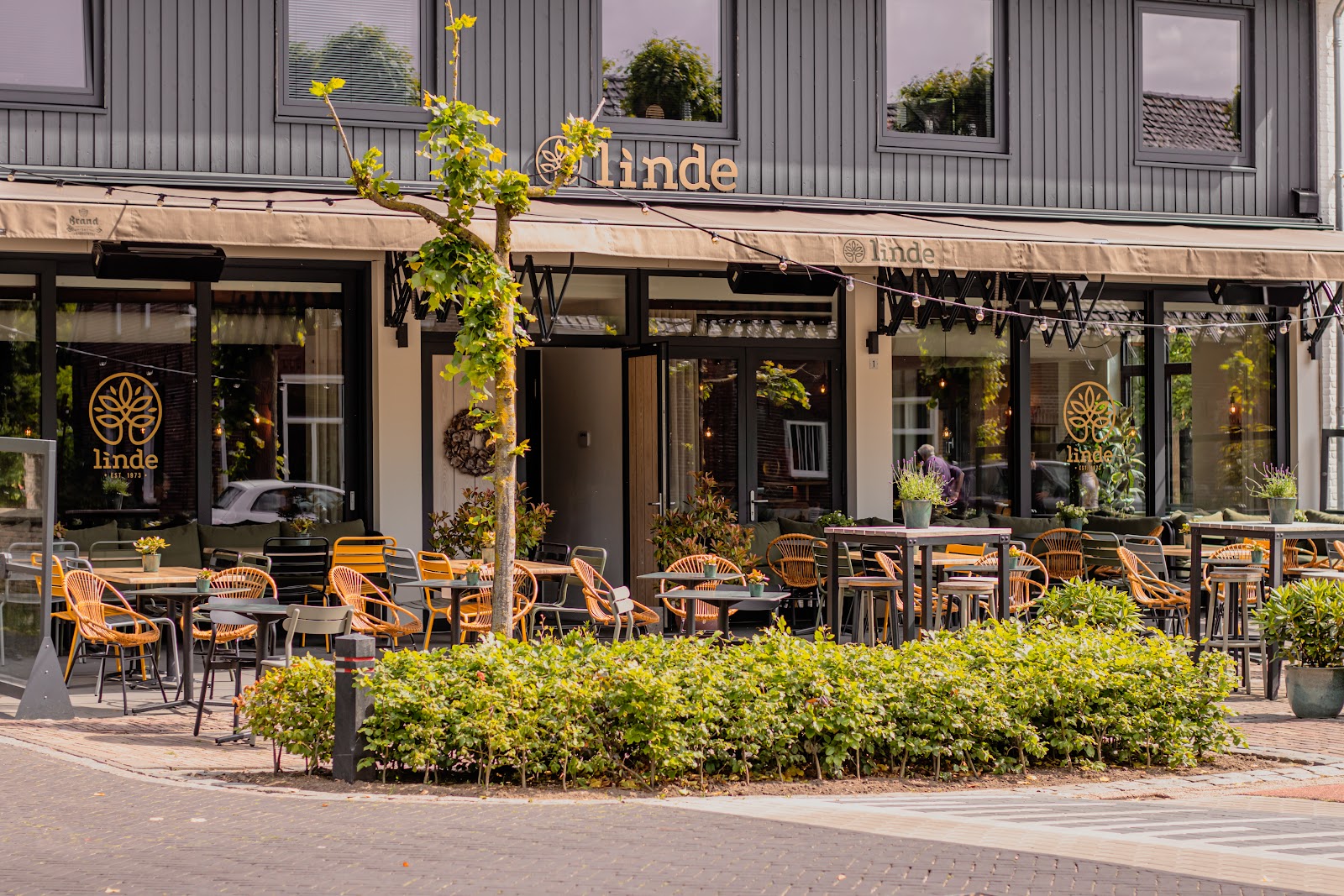 Foto van de Linde