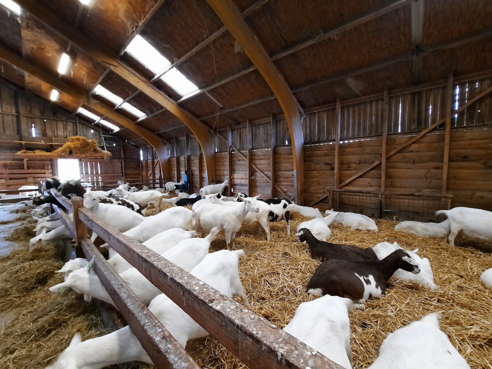 Foto van Boerderij 't Geertje
