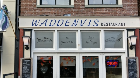Foto van Waddenvis