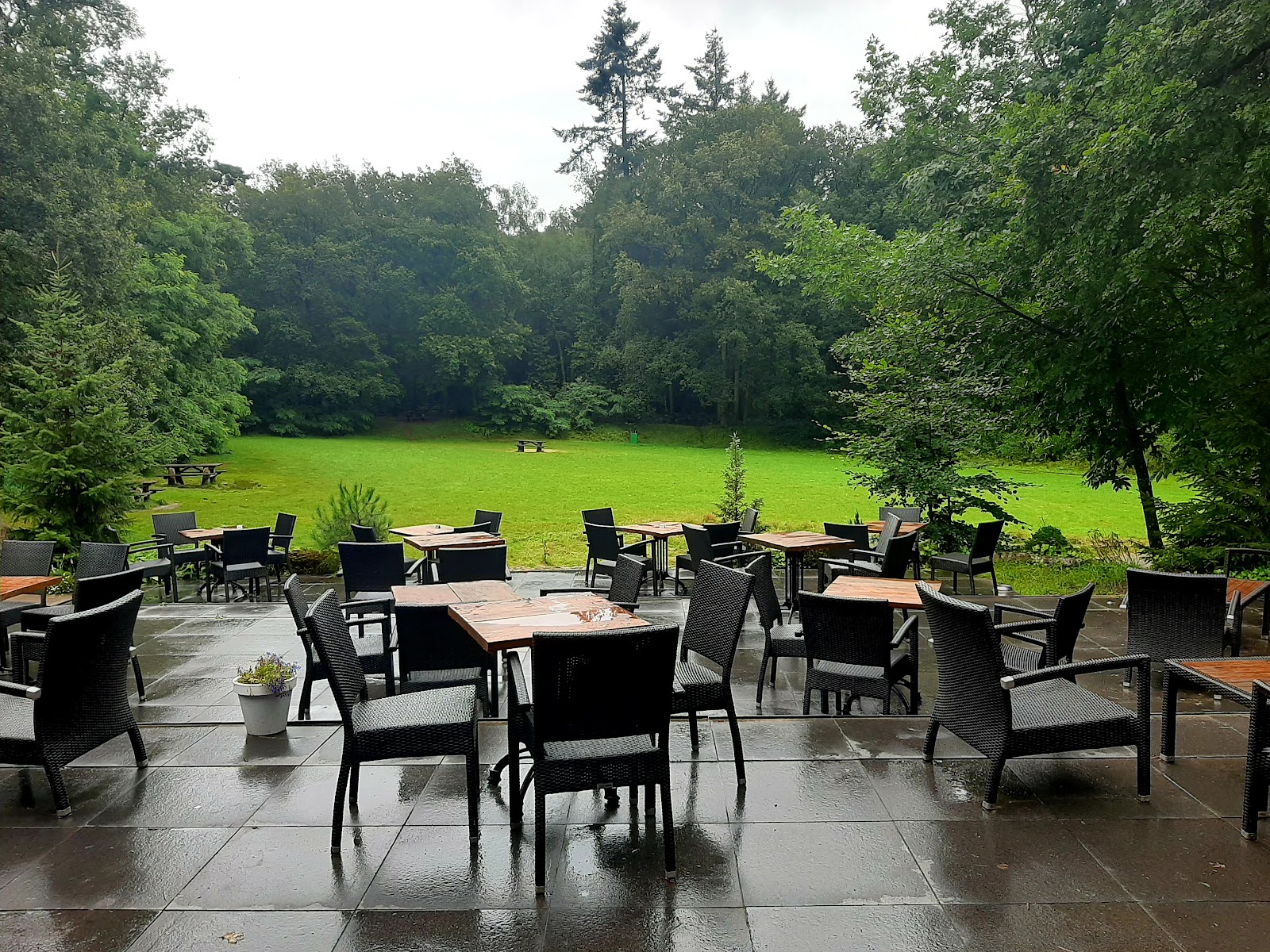 Foto van Terras Restaurant Poolshoogte