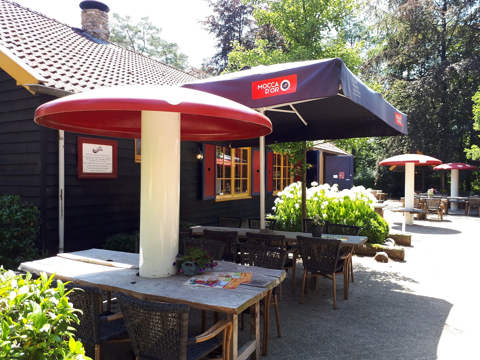 Foto van Het Grote Kabouterbos