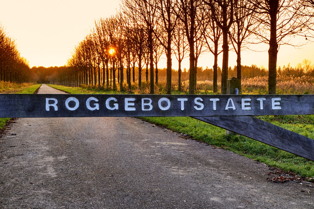 Foto van Roggebotstaete