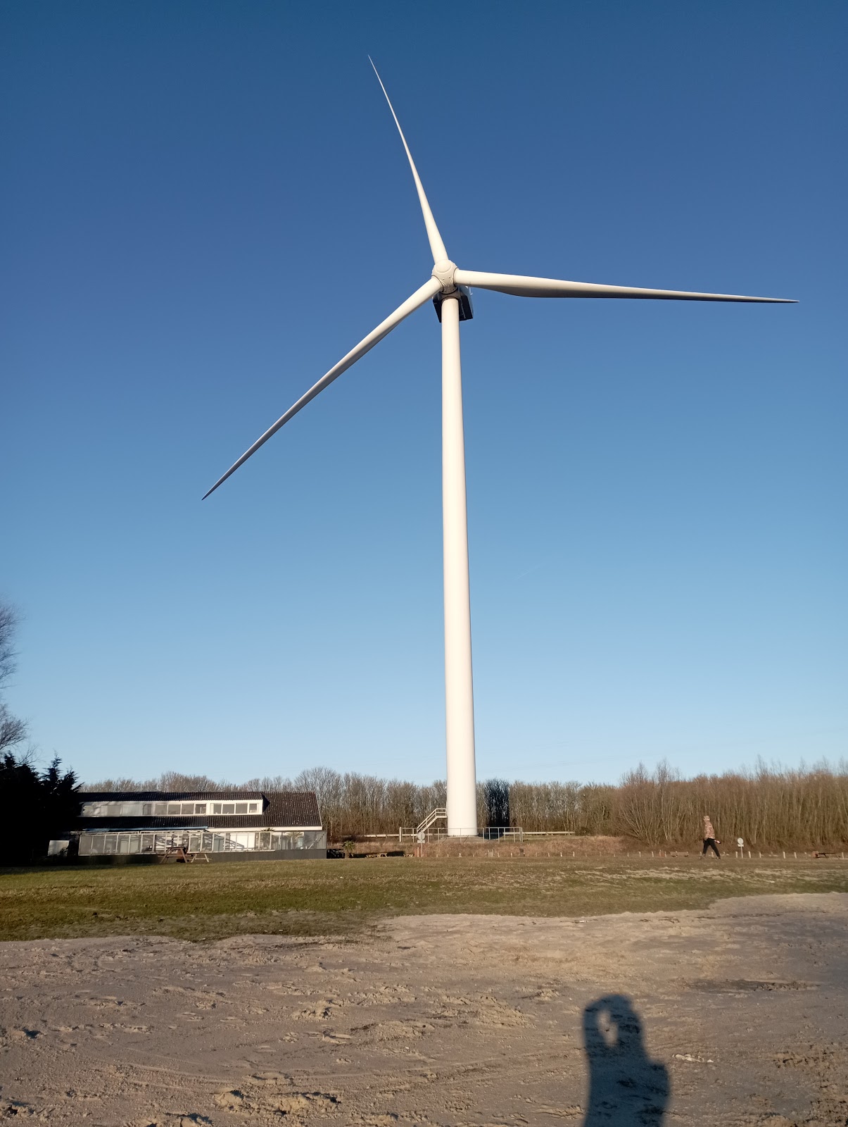Foto van De Banaan