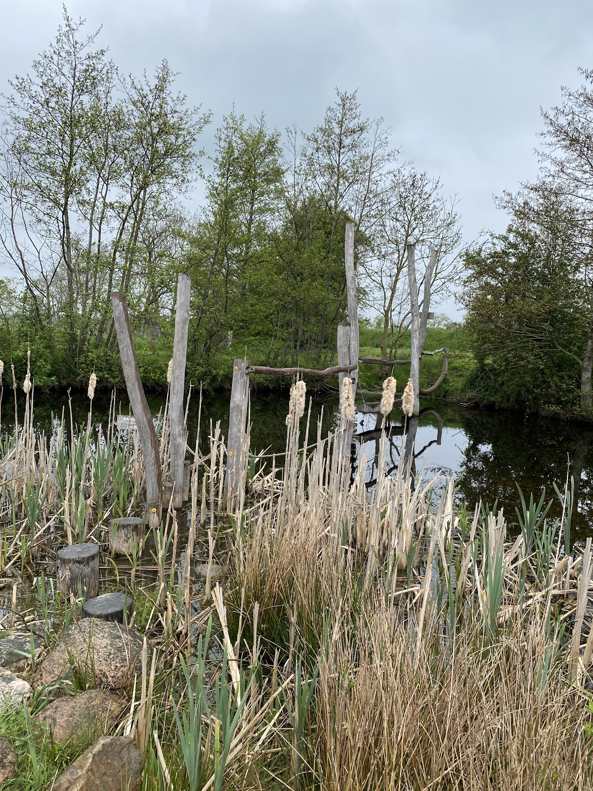 Foto van Speelweide om de dobben
