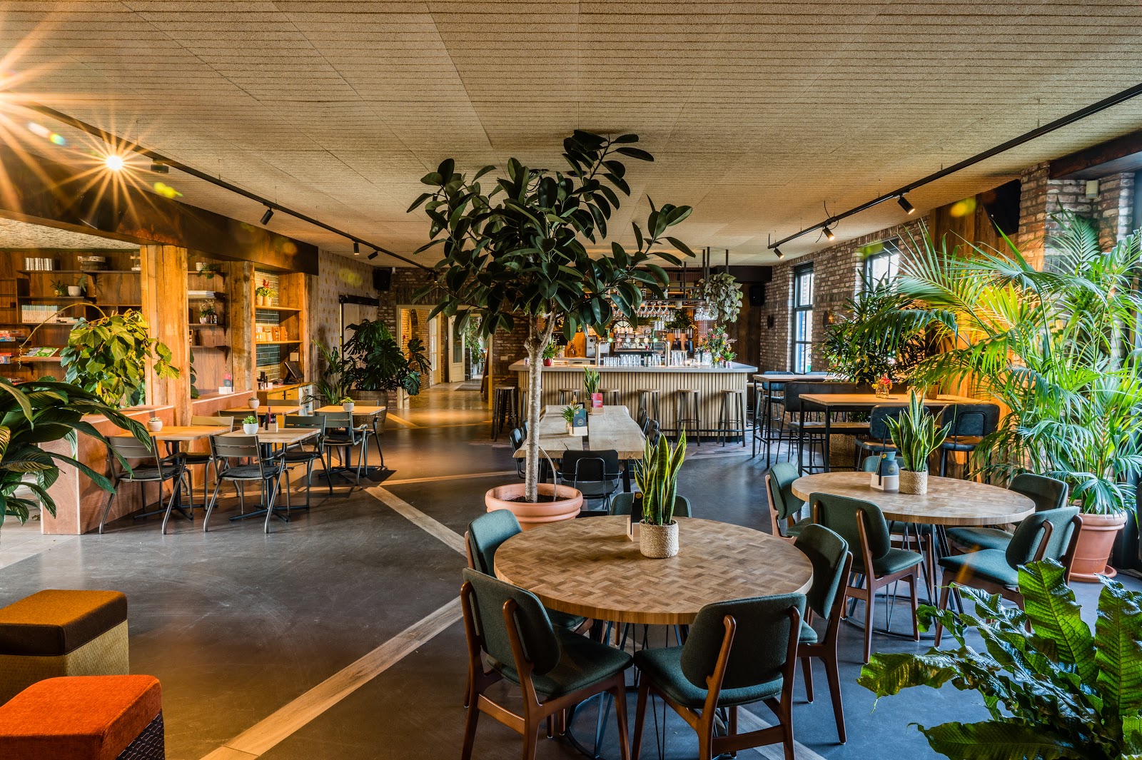Foto van Natuurpoortcafé BOS & Co.